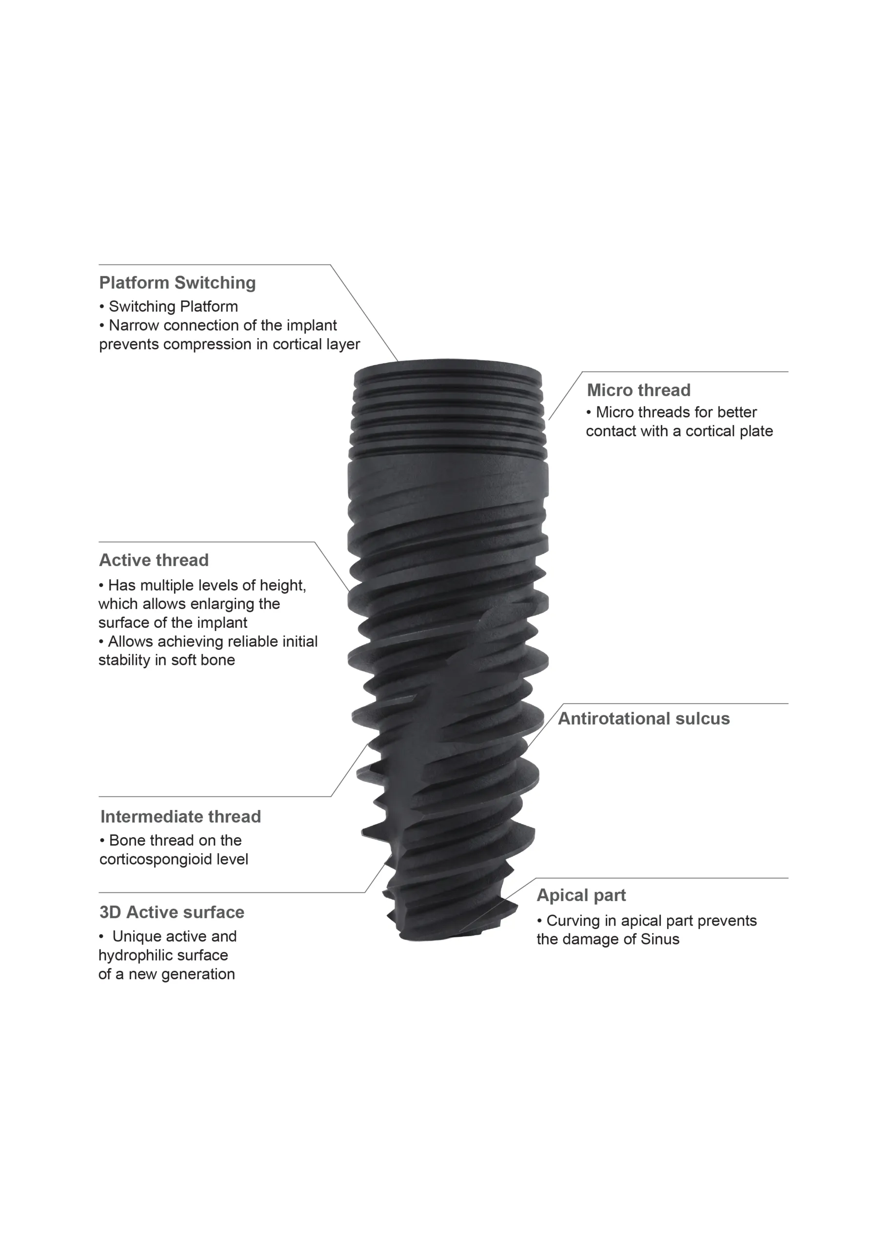 Implant cross section